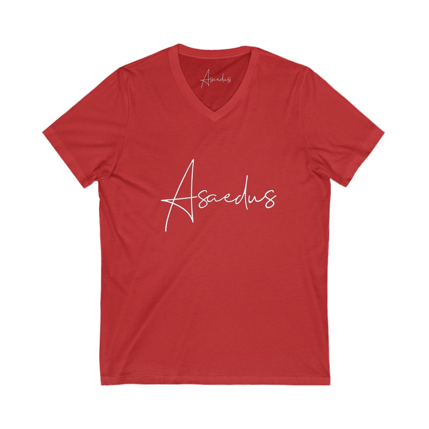 Asaedus simple v-neck tee