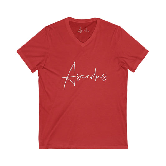 Asaedus simple v-neck tee