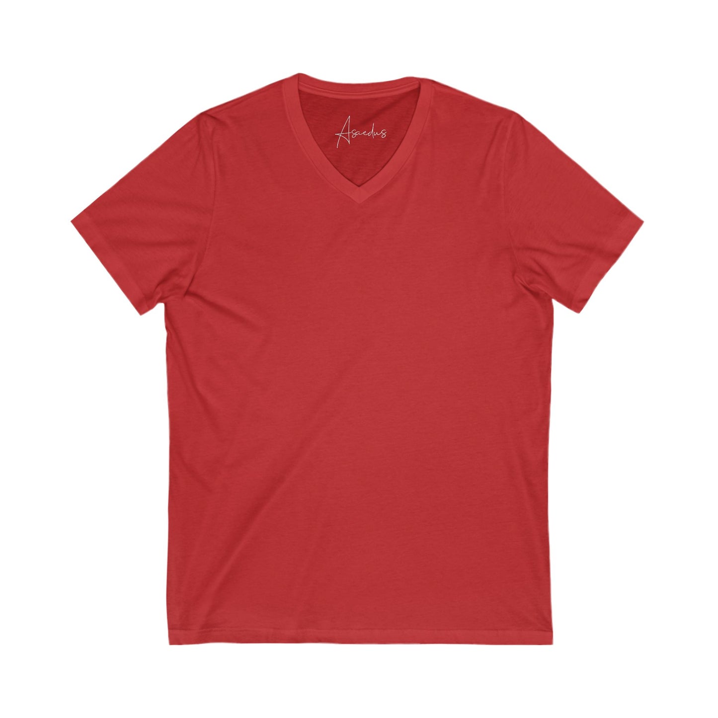 Asaedus simple v-neck tee