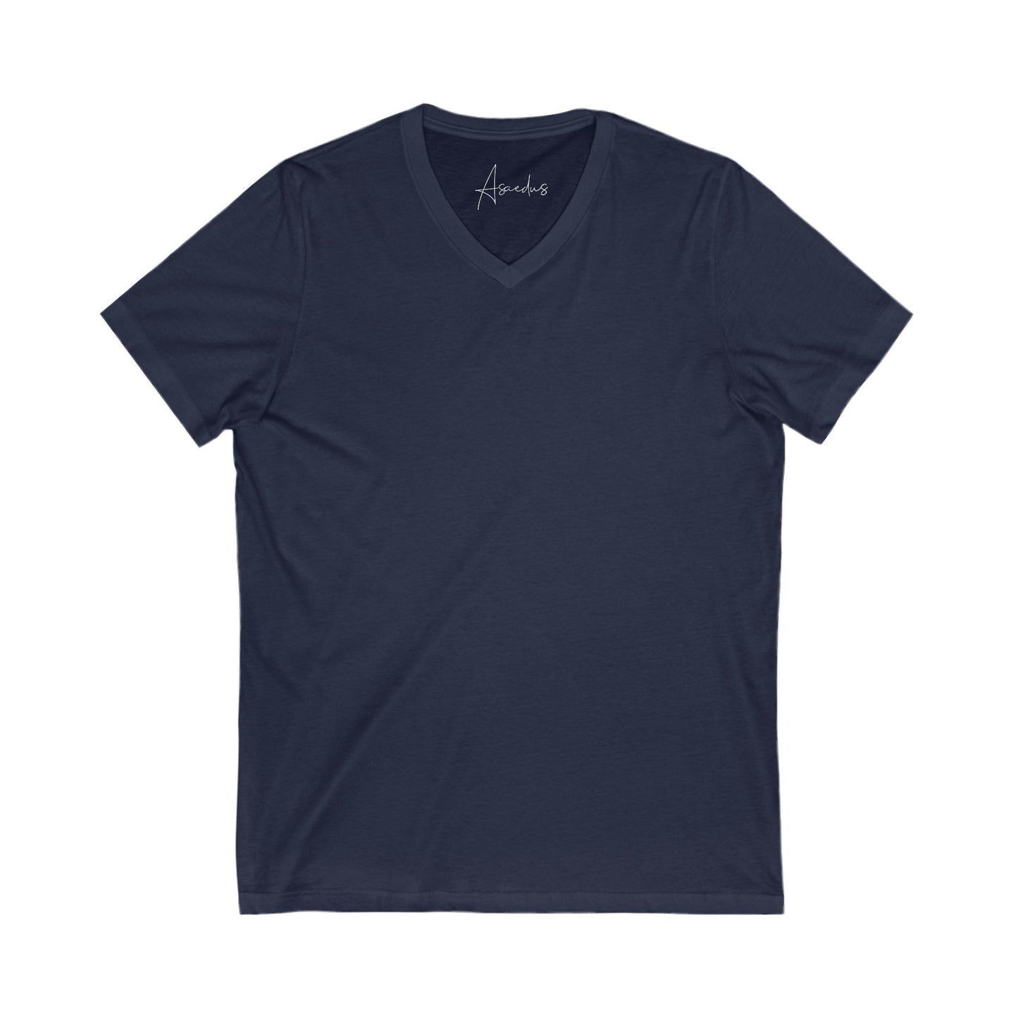 Asaedus simple v-neck tee